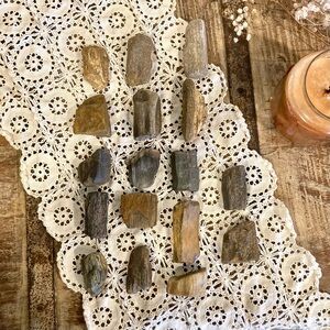 17pcs Petrified Wood 🪵 Rock Collection